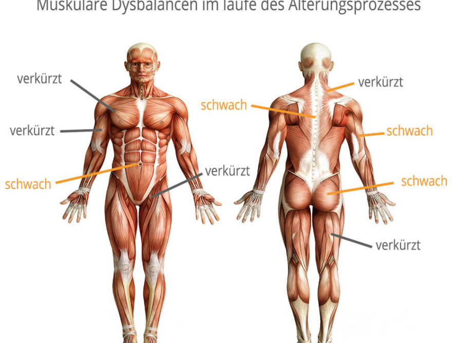 Können wir das Altern verhindern?